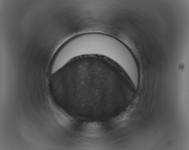 X0000088880156200707061418