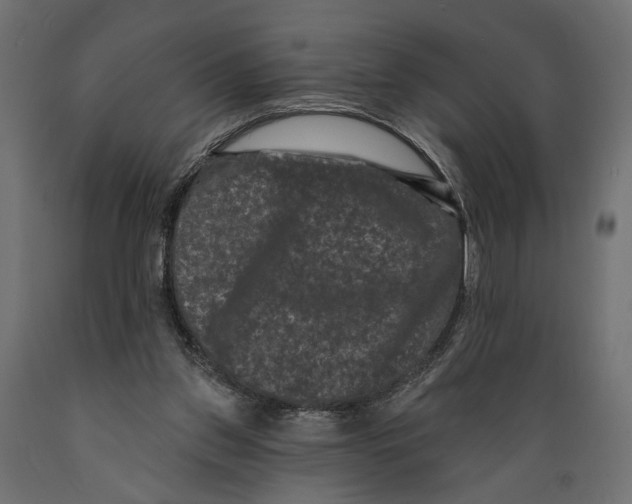 X0000088880157200707061418