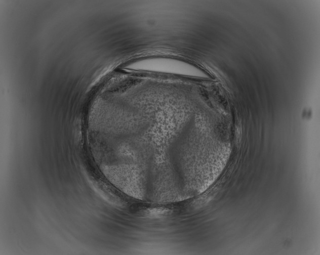 X0000088880158200707061418