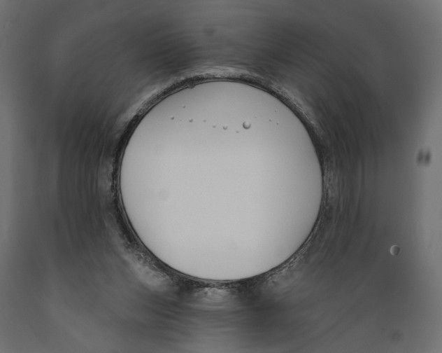 X0000088880159200707061418