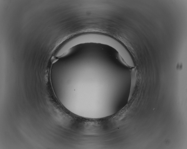 X0000088880160200707061418