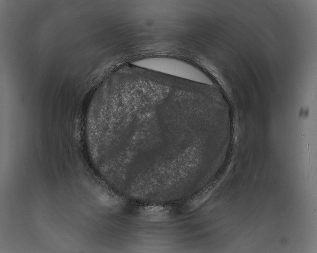 X0000088880161200707061418