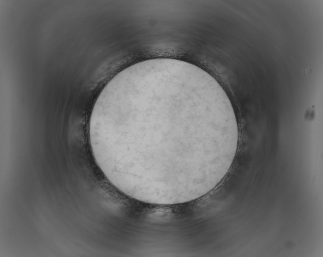 X0000088880162200707061418