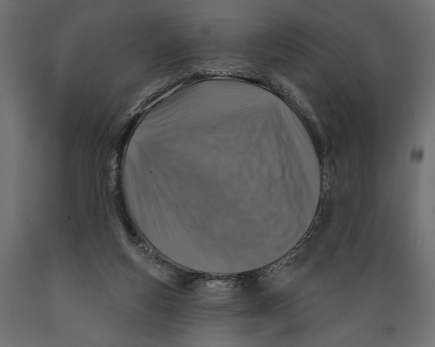 X0000088880163200707061418