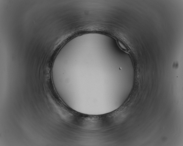 X0000088880164200707061418