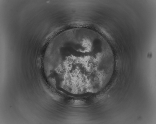 X0000088880165200707061418
