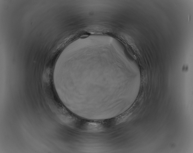 X0000088880167200707061418