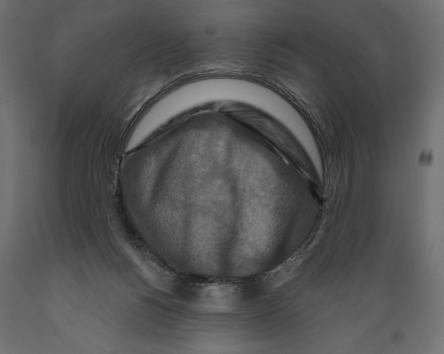 X0000088880168200707061418