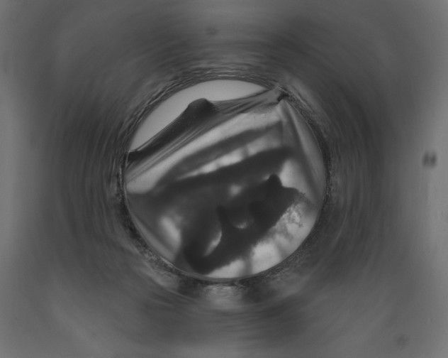 X0000088880169200707061418