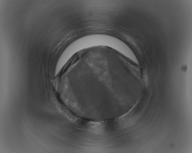 X0000088880170200707061418
