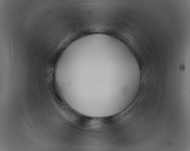 X0000088880171200707061418