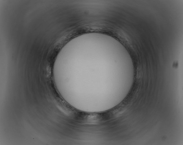 X0000088880173200707061418