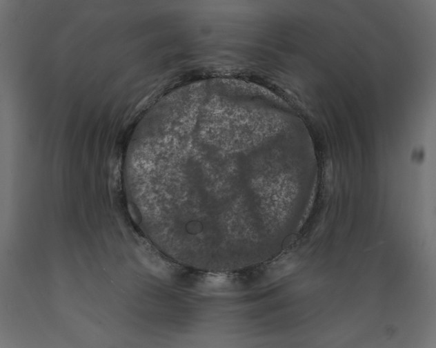 X0000088880177200707061418