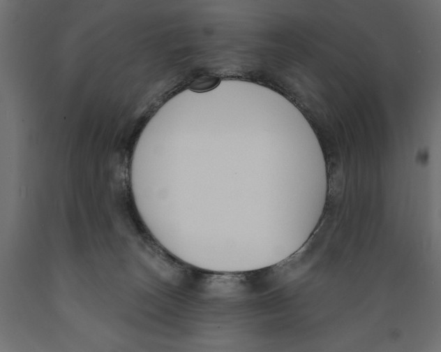 X0000088880179200707061418