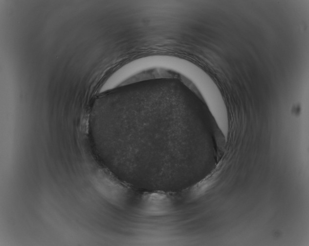 X0000088880180200707061418