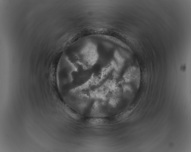 X0000088880181200707061418