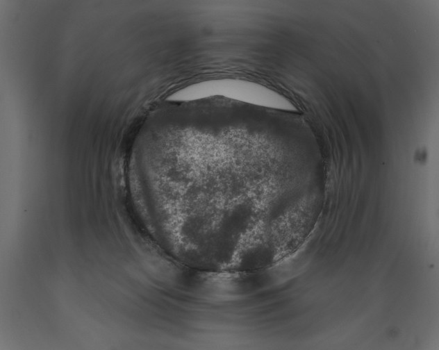 X0000088880182200707061418