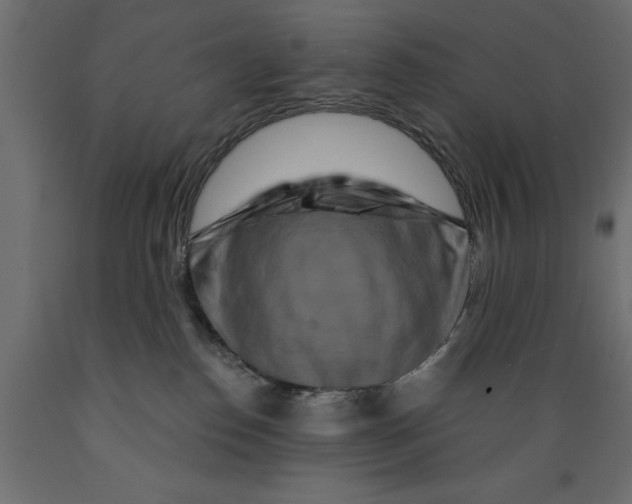 X0000088880186200707061418