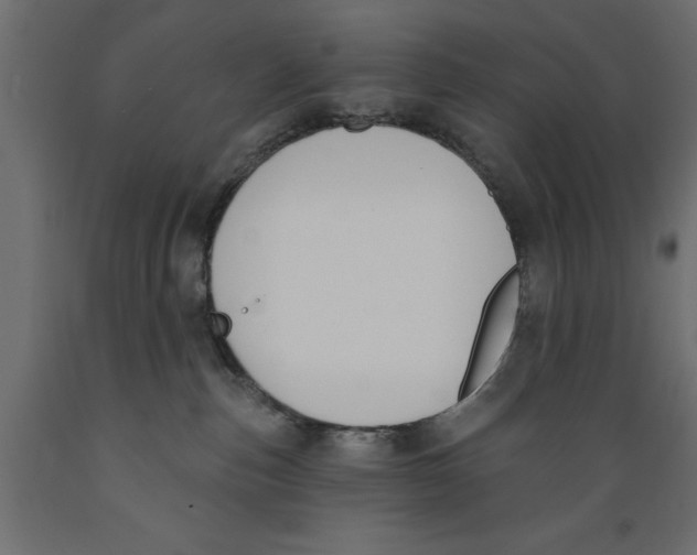 X0000088880187200707061418