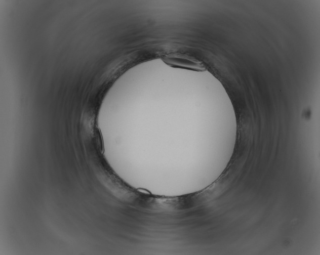 X0000088880188200707061418