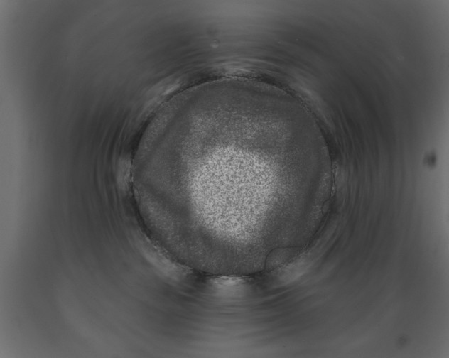 X0000088880189200707061418