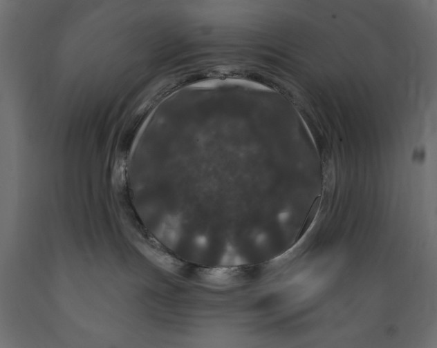 X0000088880191200707061418