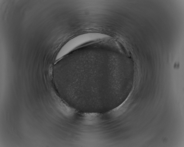 X0000088880192200707061418