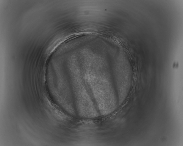 X0000088880194200707061417