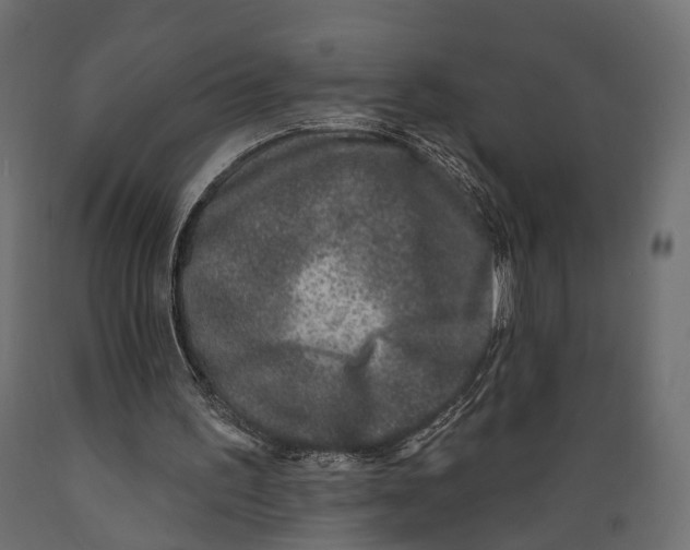 X0000088880195200707061417