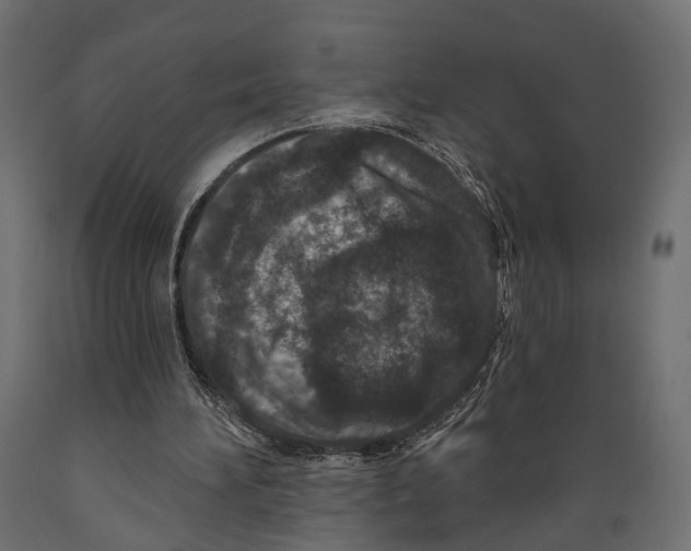 X0000088880196200707061417