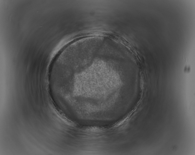 X0000088880198200707061417