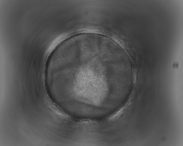 X0000088880199200707061417