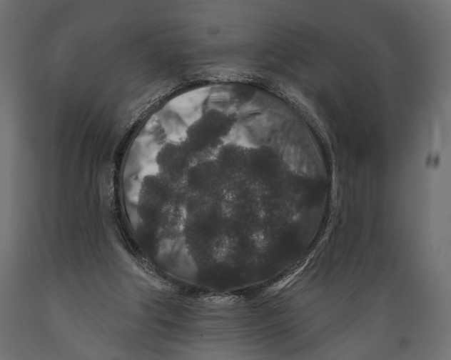 X0000088880202200707061417