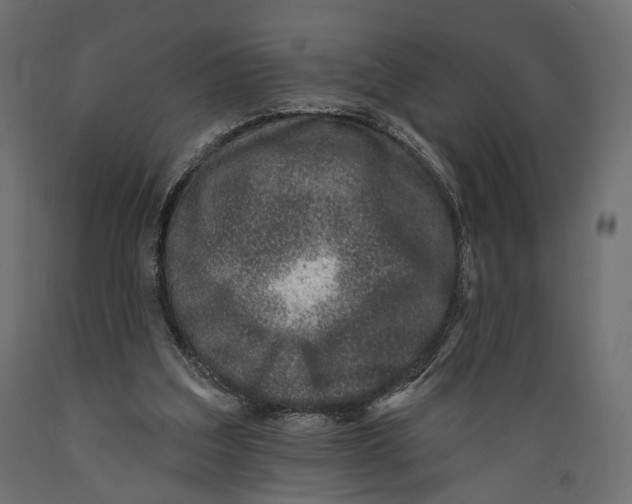 X0000088880203200707061417