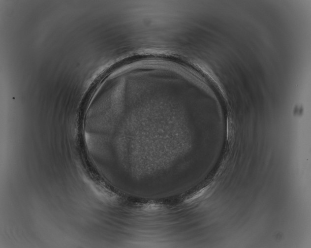 X0000088880204200707061417