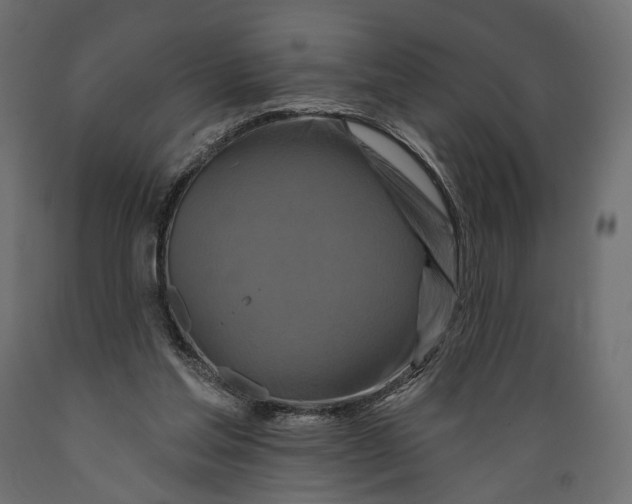 X0000088880205200707061417