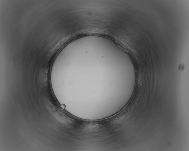 X0000088880206200707061417