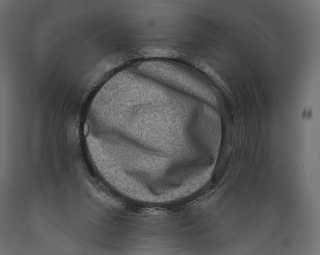 X0000088880207200707061417