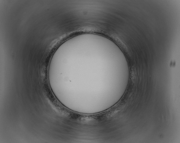 X0000088880208200707061417