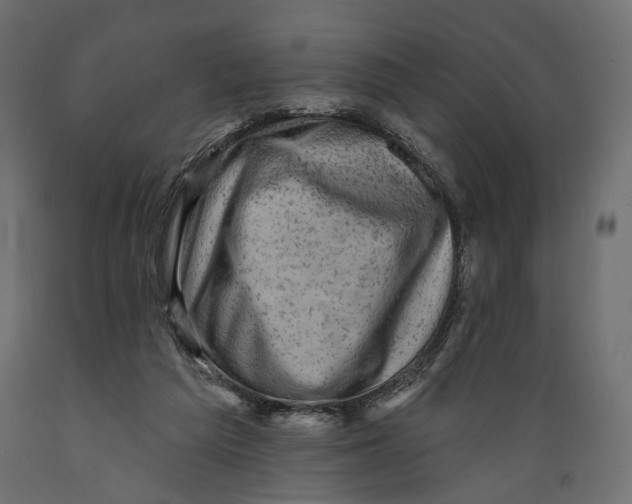 X0000088880209200707061417