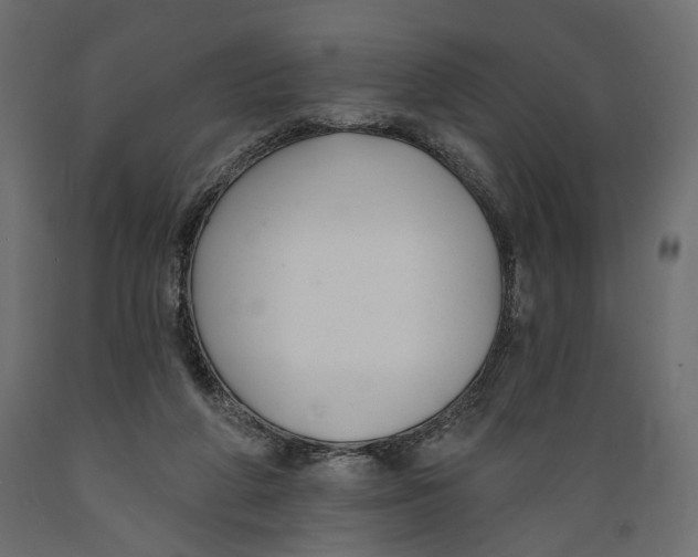 X0000088880210200707061417
