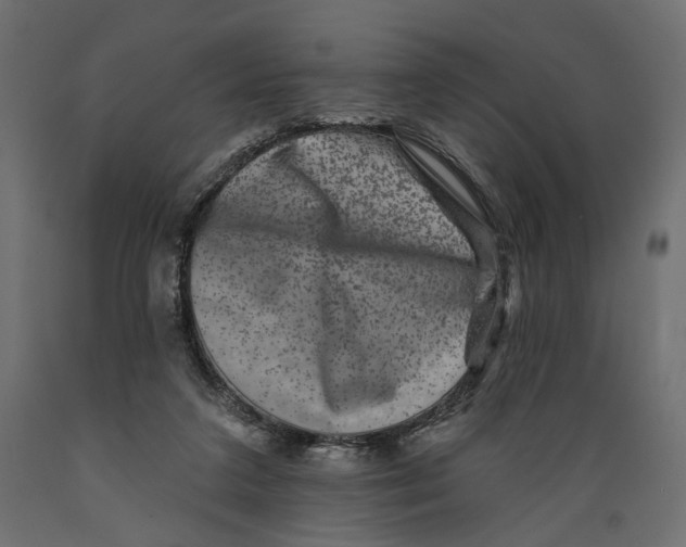 X0000088880211200707061417