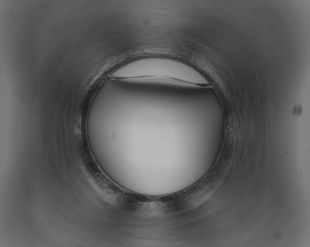 X0000088880212200707061417