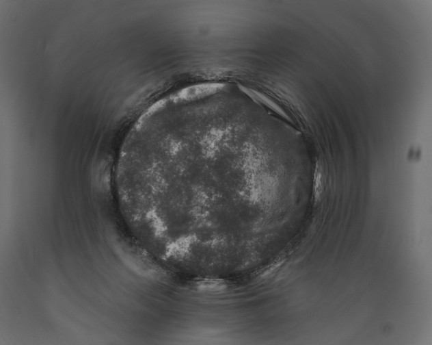X0000088880214200707061417