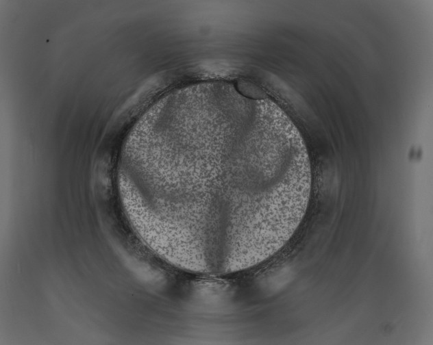 X0000088880215200707061417