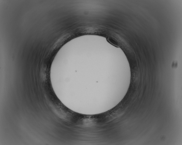X0000088880216200707061417