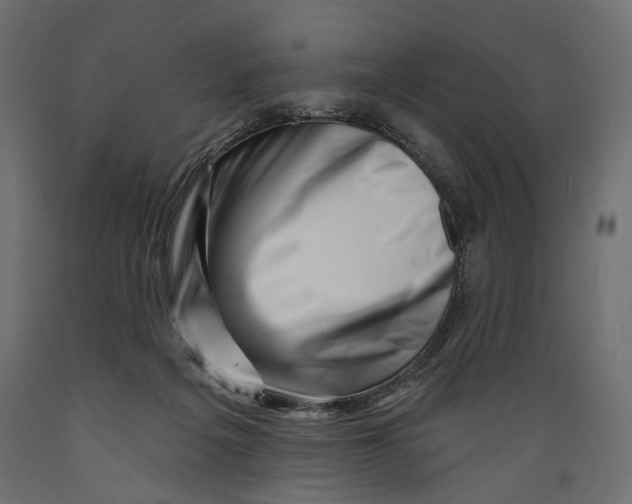 X0000088880217200707061417