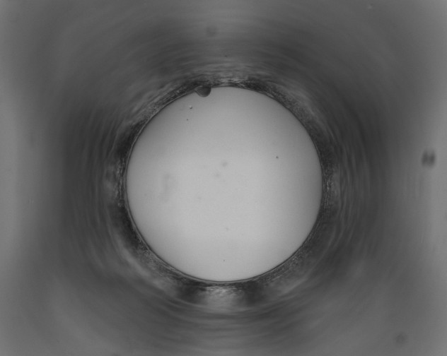 X0000088880218200707061417