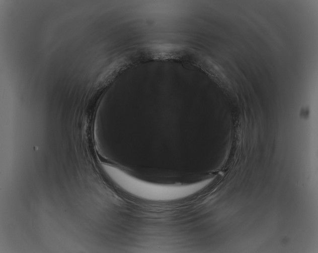 X0000088880219200707061417