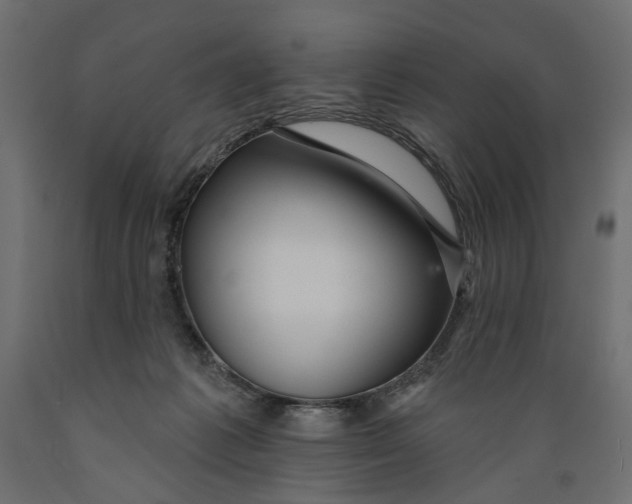 X0000088880221200707061417